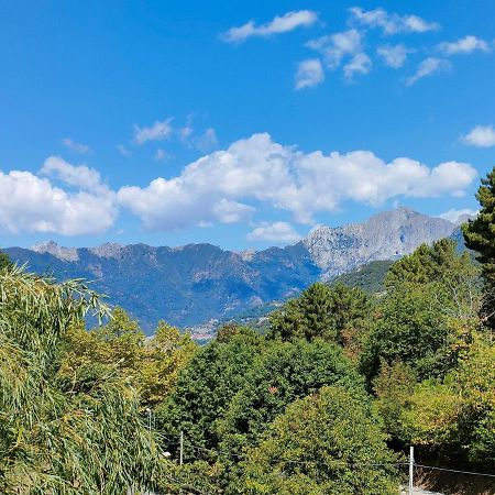 Casa Del Nonno Gino Villa Pietrasanta Eksteriør bilde