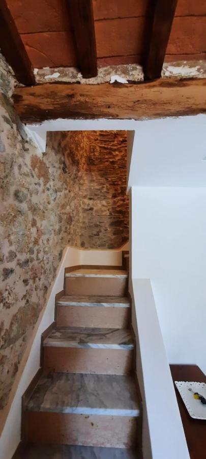 Casa Del Nonno Gino Villa Pietrasanta Eksteriør bilde
